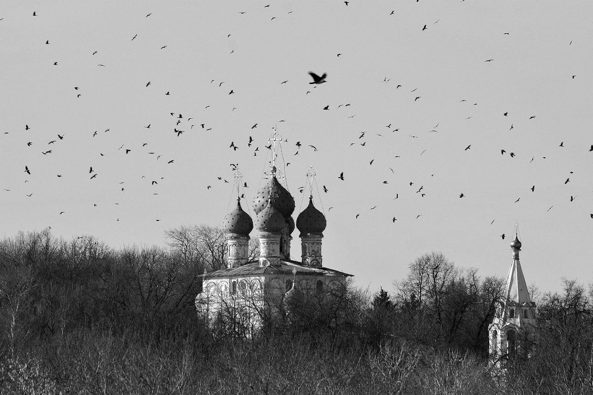 Описание картины купола и ласточки