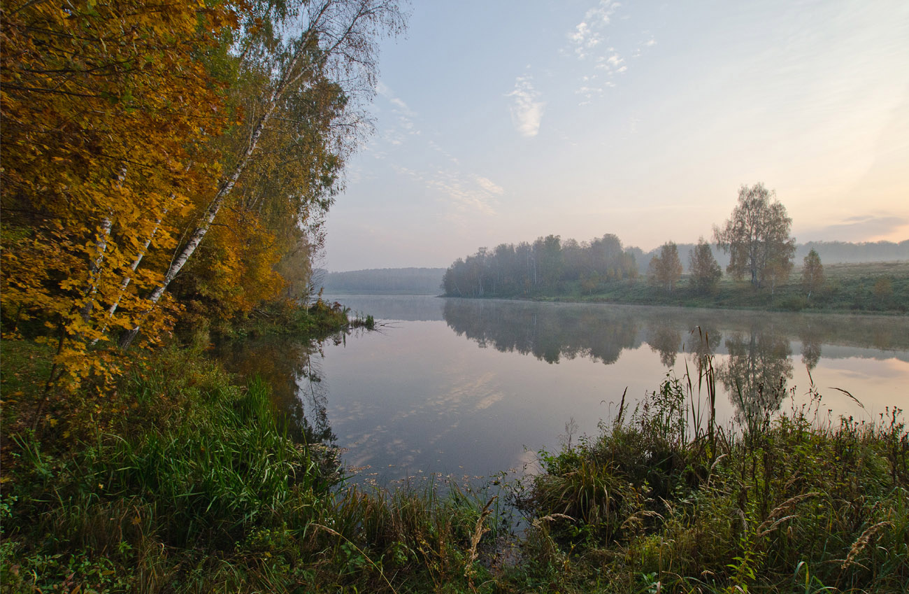 Природа Щекинского района