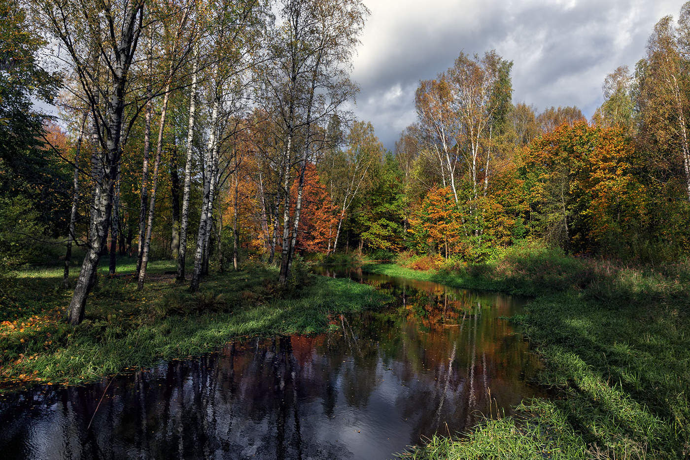 Пруд в лесу фото осенью