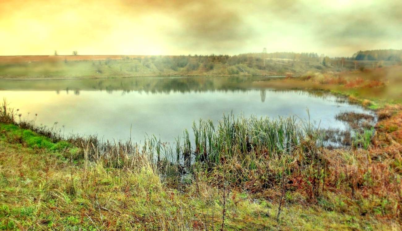 туман на реке. живописный водоем. оз среднесатыгинский туман. туман на воде. завод на реке.