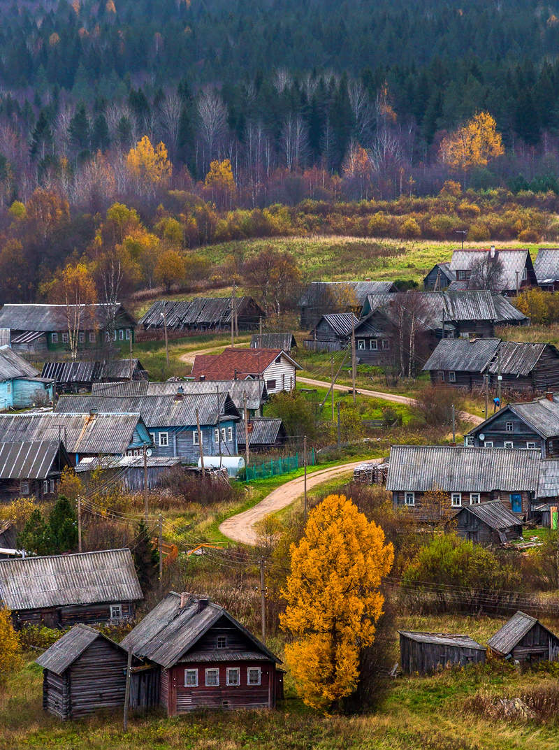 Деревня Ладва Подпорожский район