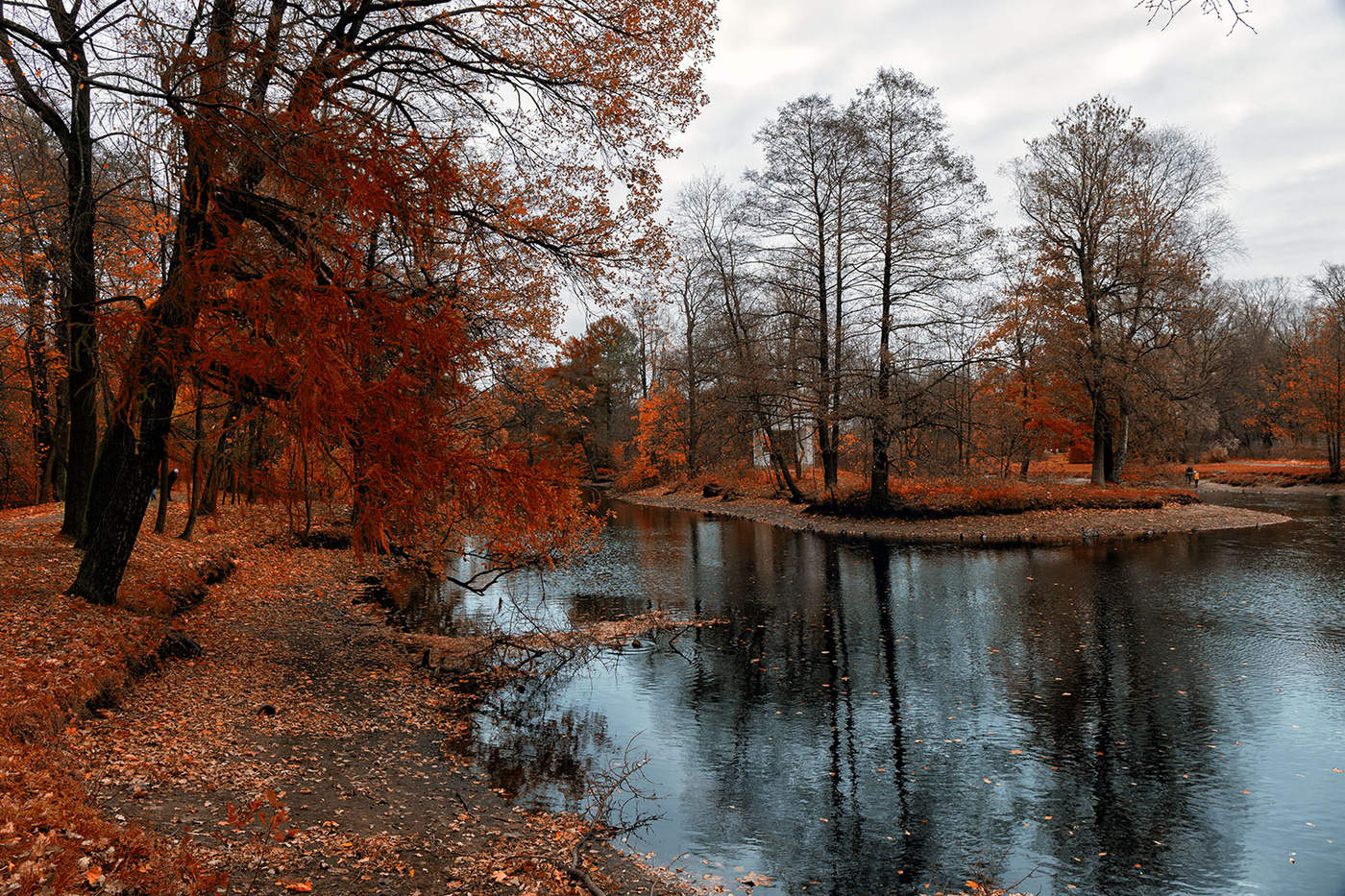 Осень парк озеро