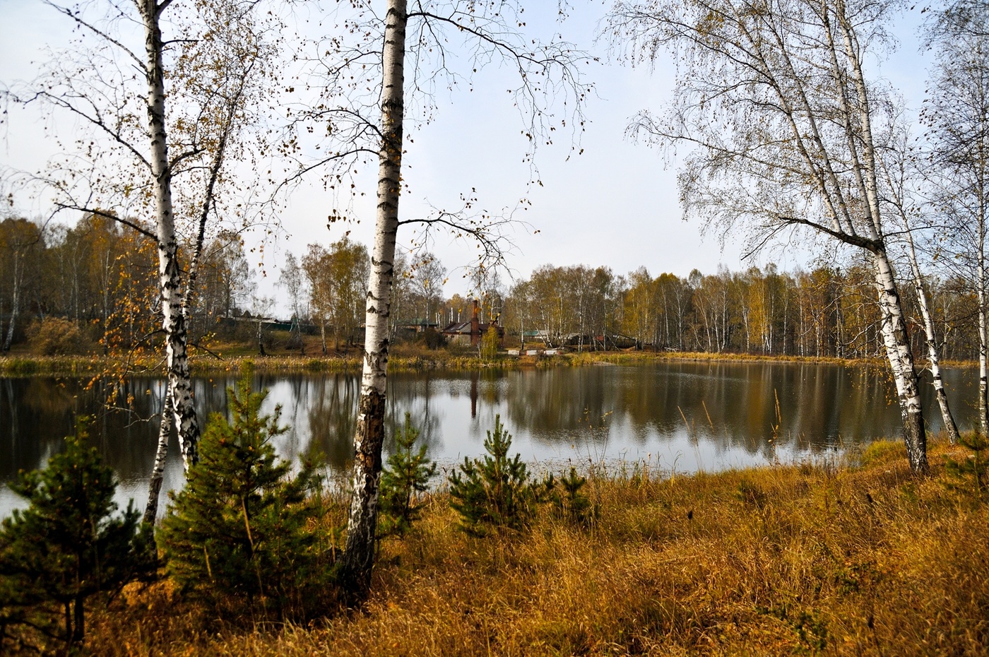Осенние Зарисовки Фото