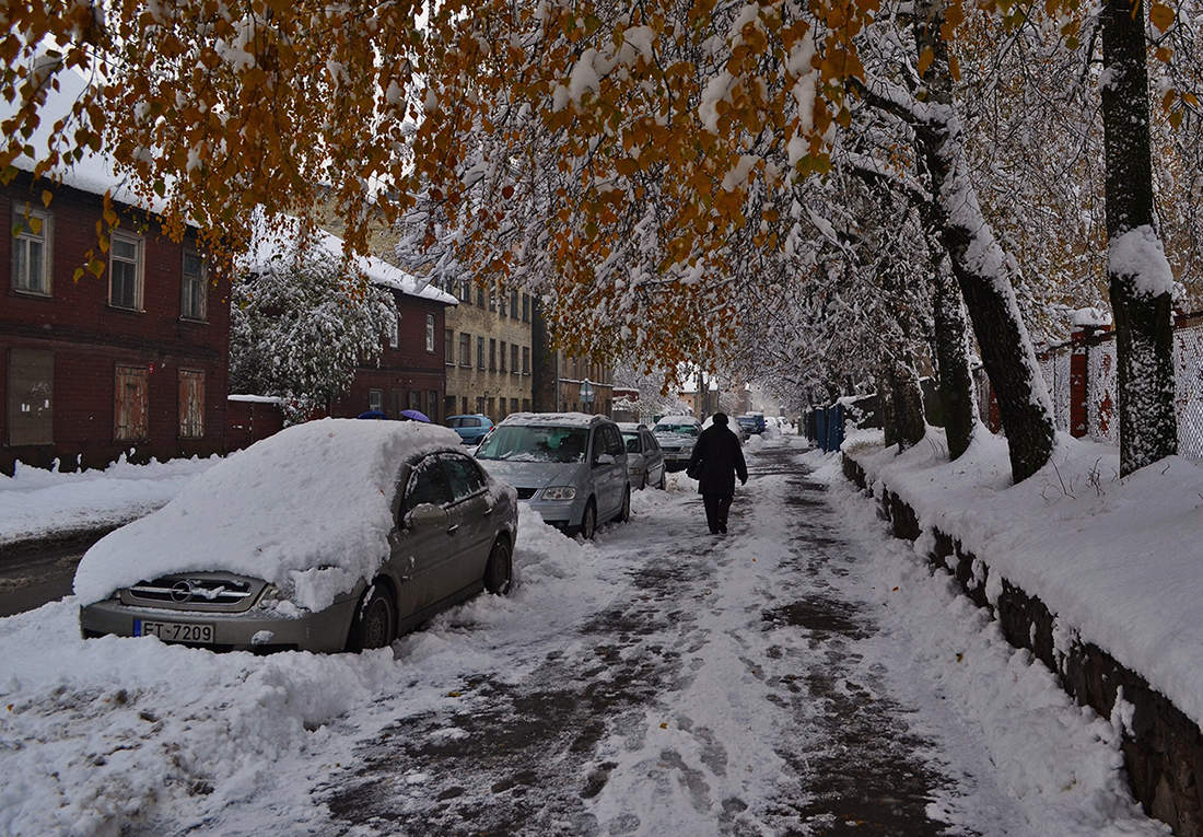 Толстого 1 снег. Снегопад в городе. Первый снег в городе. Снег в городе. Зима в России.