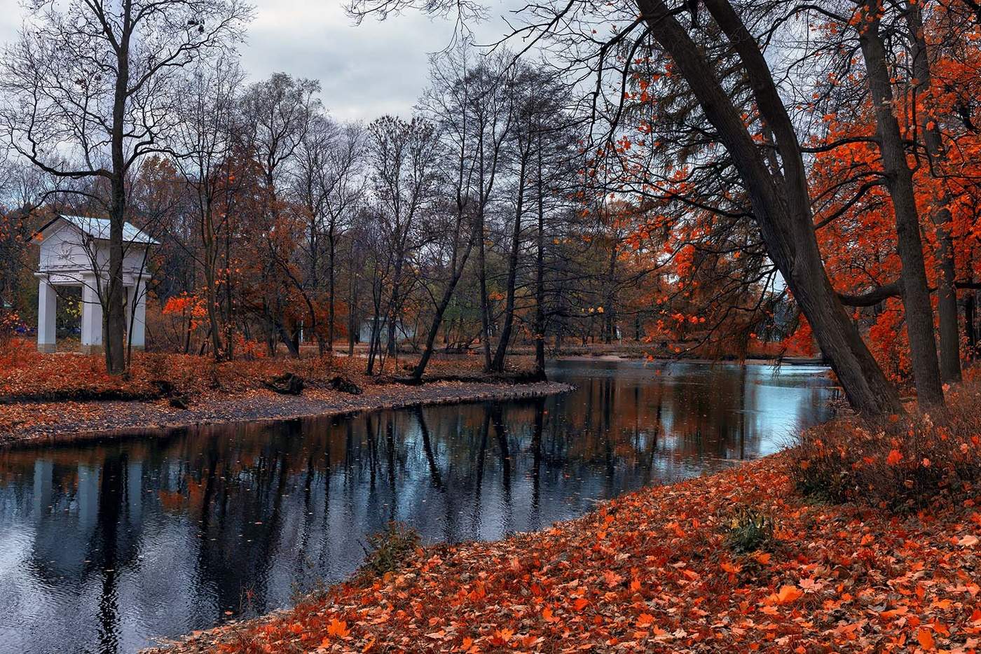 Осень в парке. Осенний парк. Парк осенью. Осенний сквер.