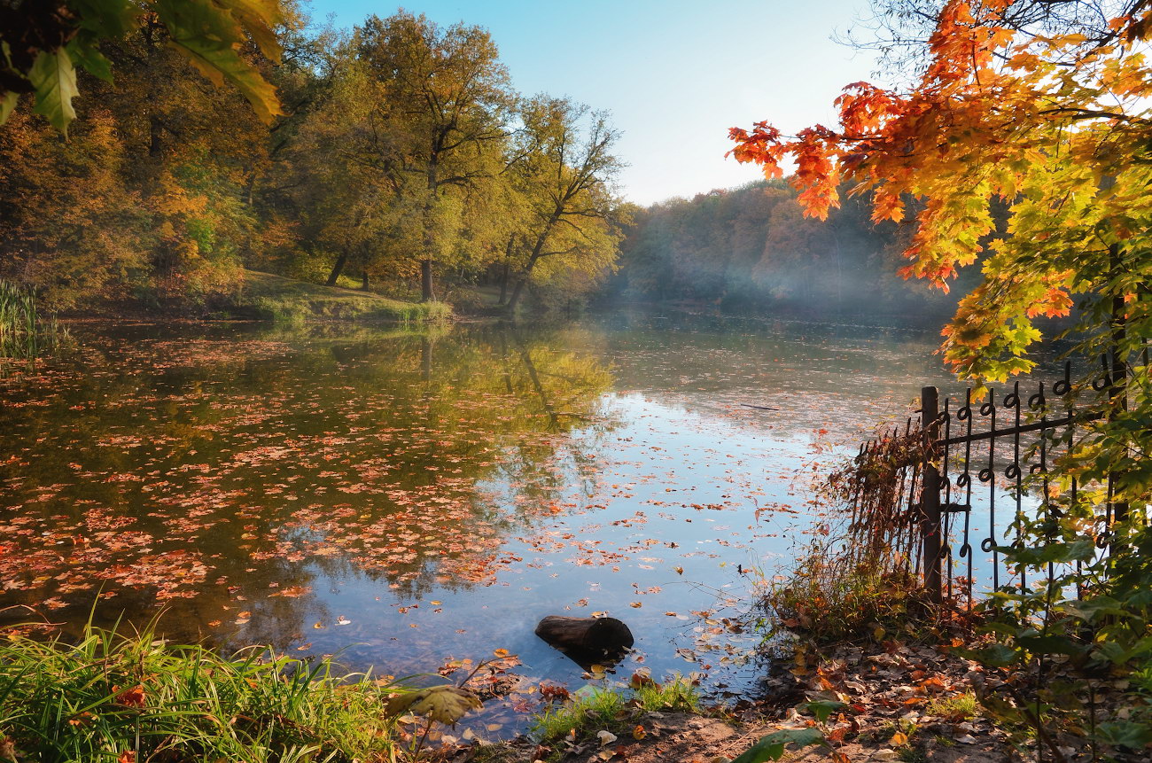 платоновский парк