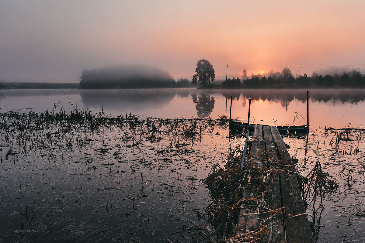 Пено тверская область фото