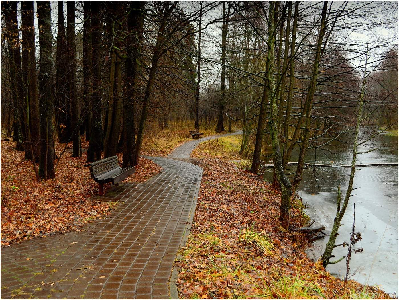 осень дождь. пасмурный дождливый день. летний дождь. ливень в сентябре. бег парк кузьминки осень.