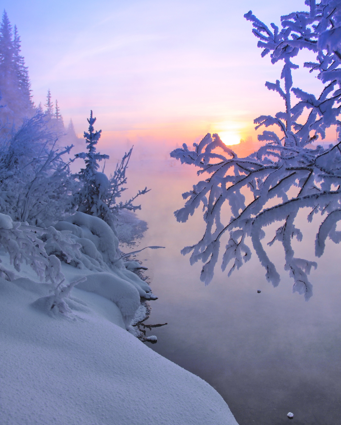 Сильный утренний мороз. Зимняя природа. Красота зимы. Зима пейзаж. Зимний лес.