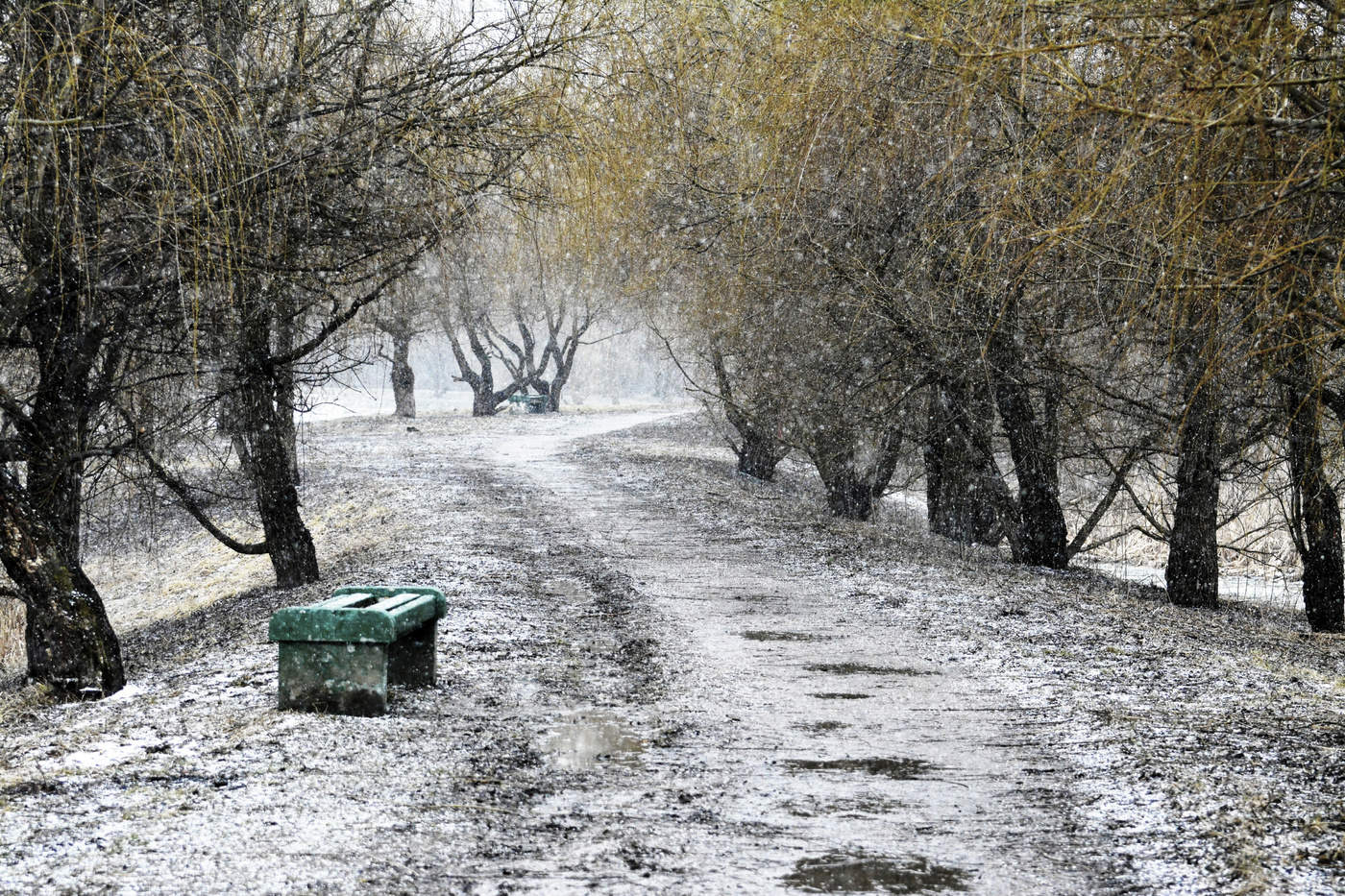 Зима зарисовки фото