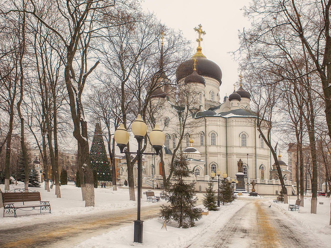 кафедральный собор в воронеже