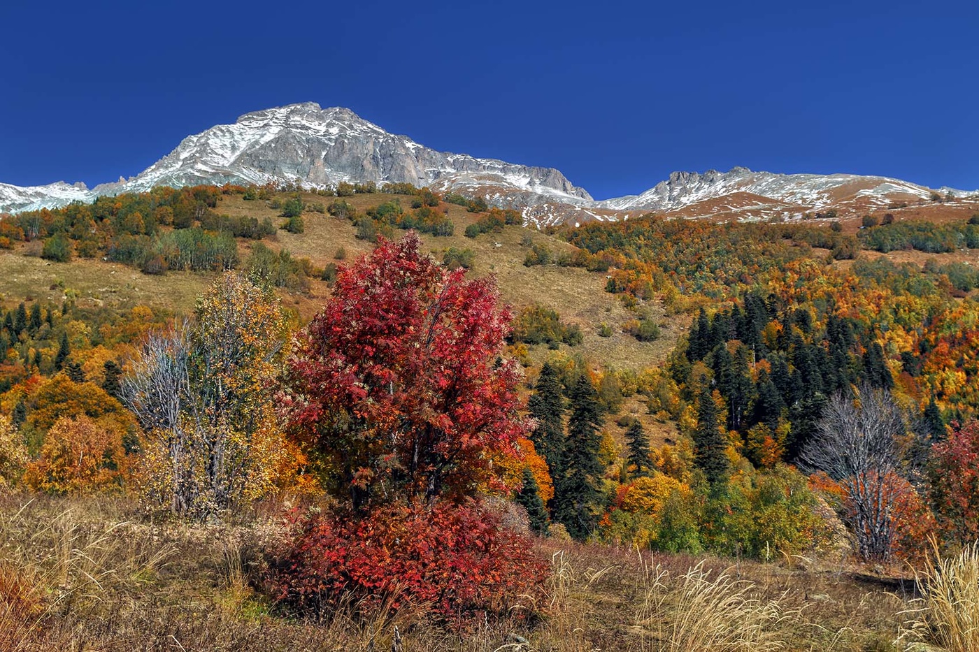 Осень В Горах Кавказа Фото