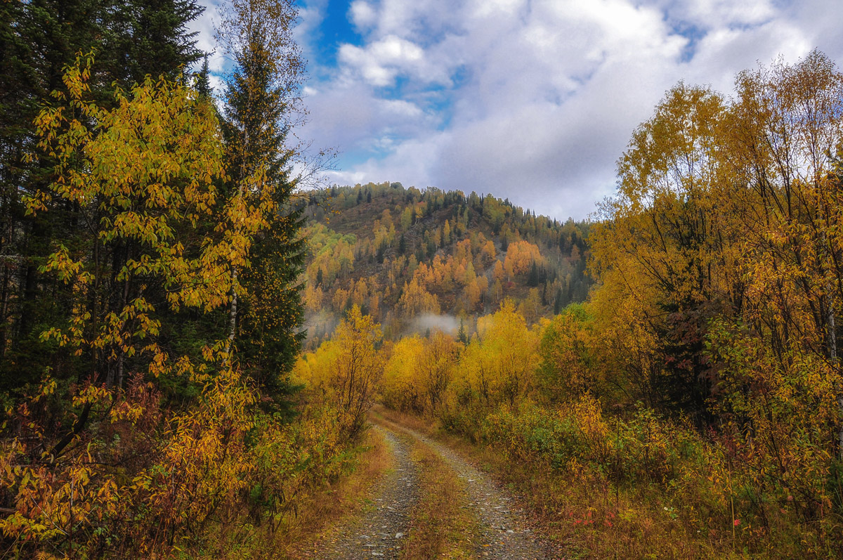 Тайга осенью фото