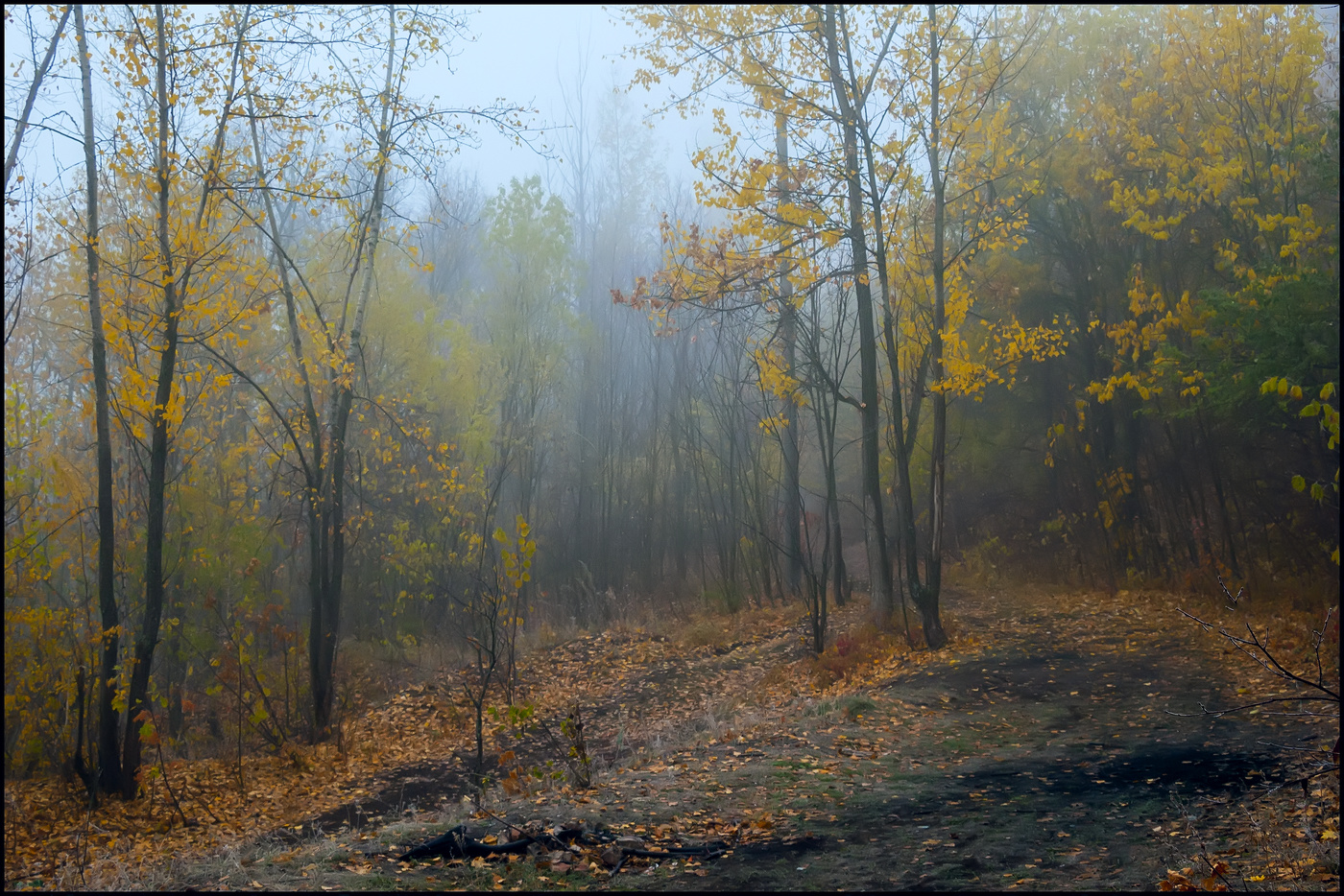 Осенние Зарисовки Фото
