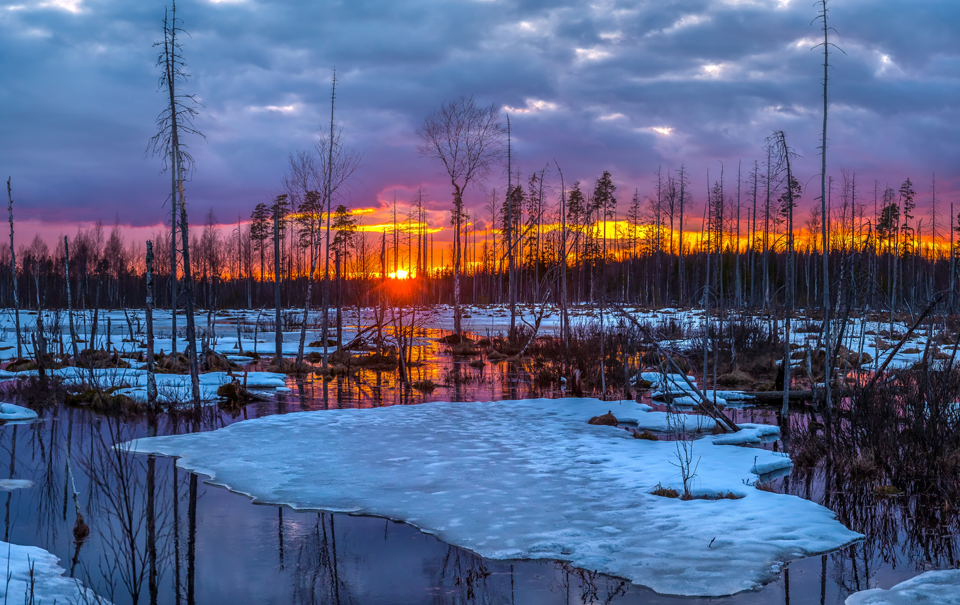 Васюганские болота зимой