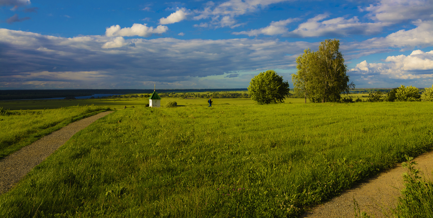 Купрешково поле фото