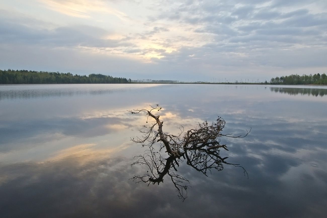 Ласково Рязанская область озера