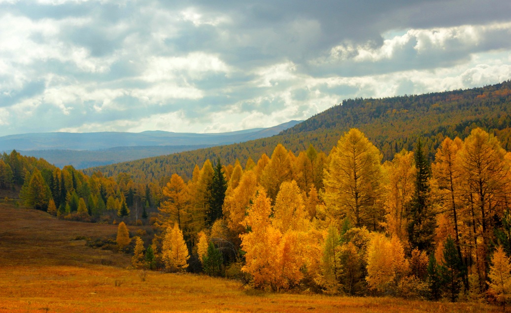 Сатка осенью горы