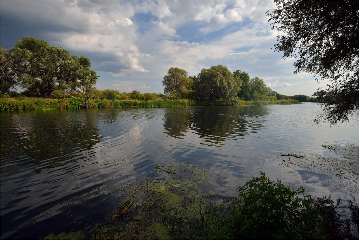 Река Усманка Фото