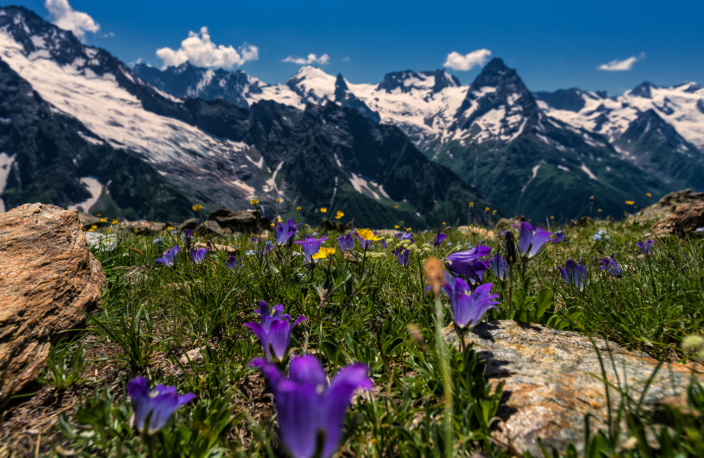 Домбай фото весной