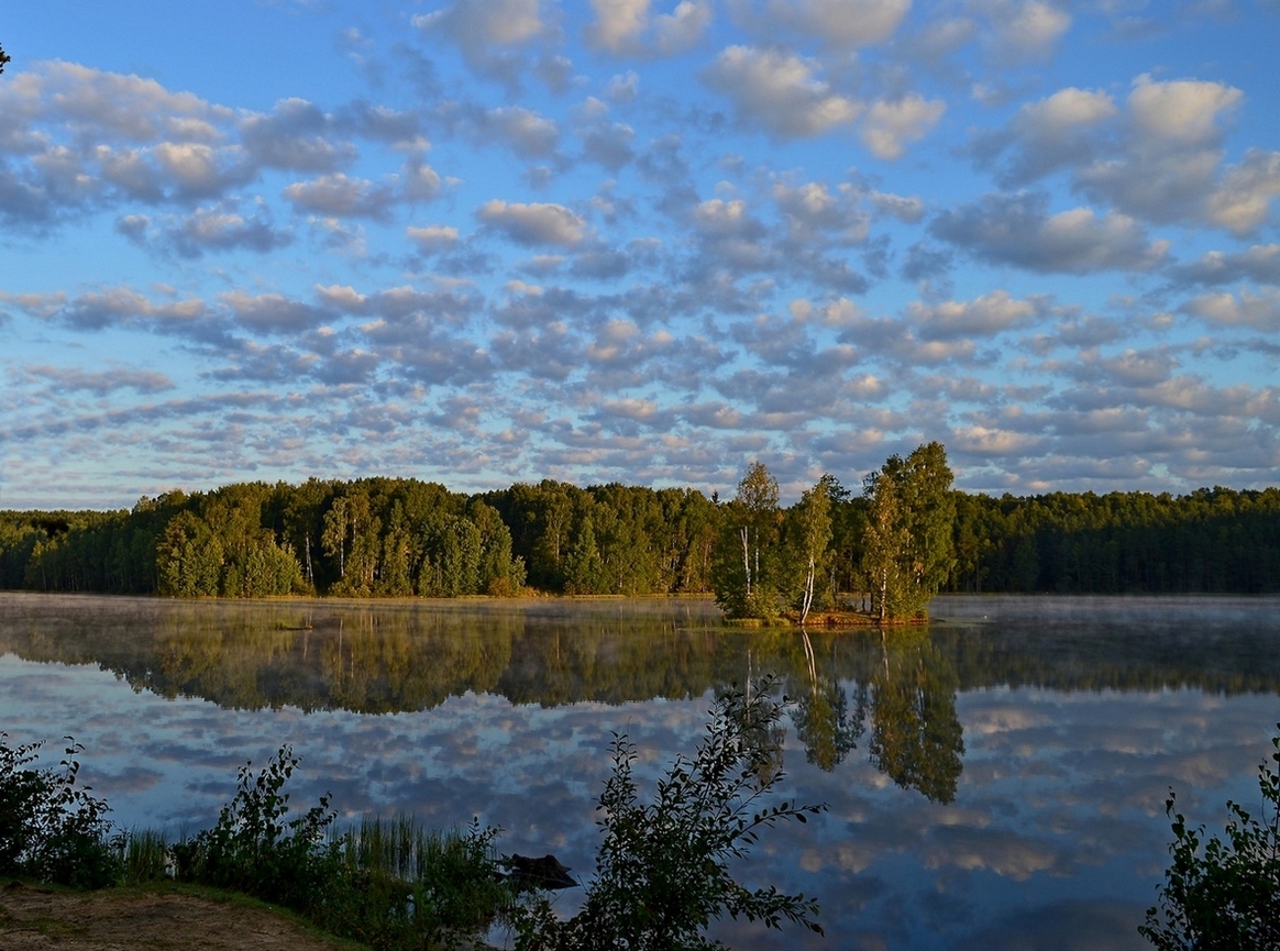 У Петербурга озеро в осиновой роще