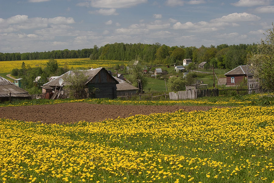 Фото деревни весной