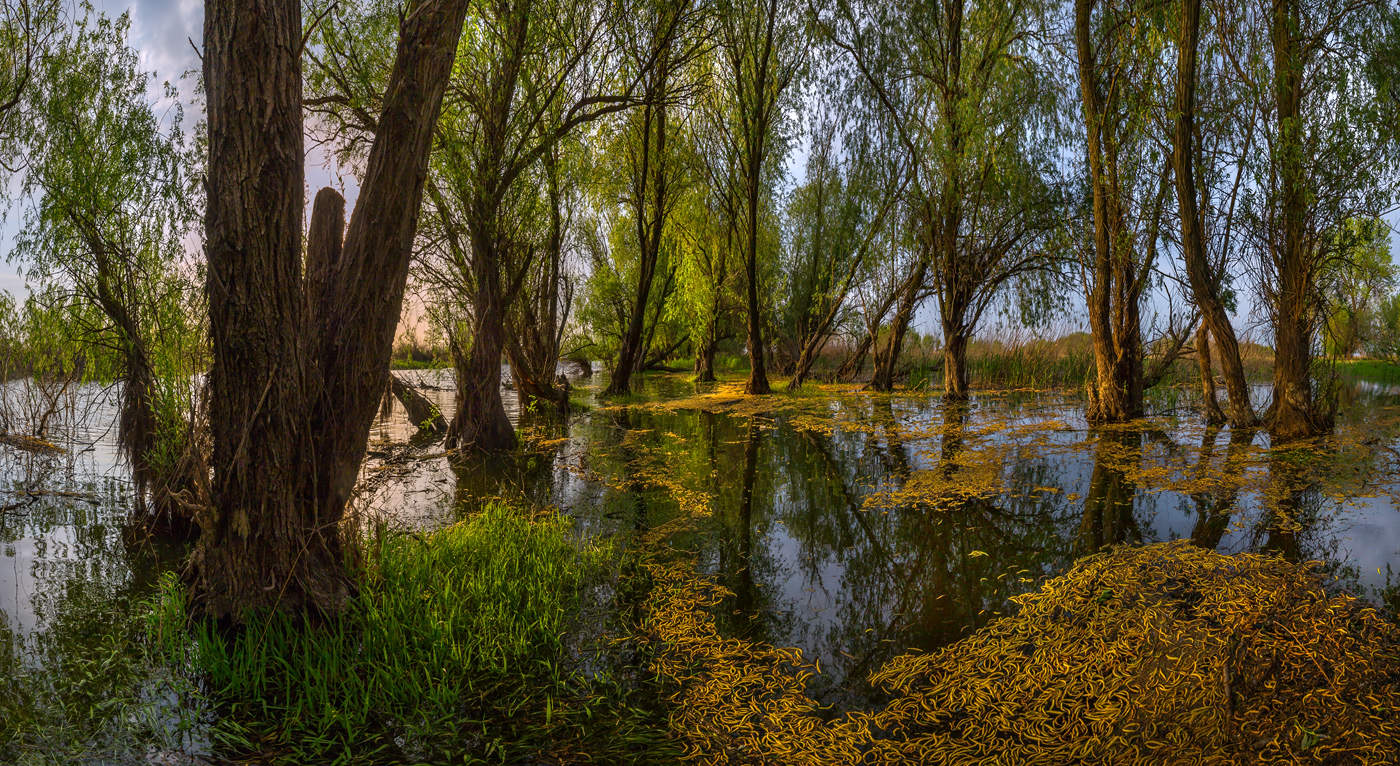 Астрахань весной фото