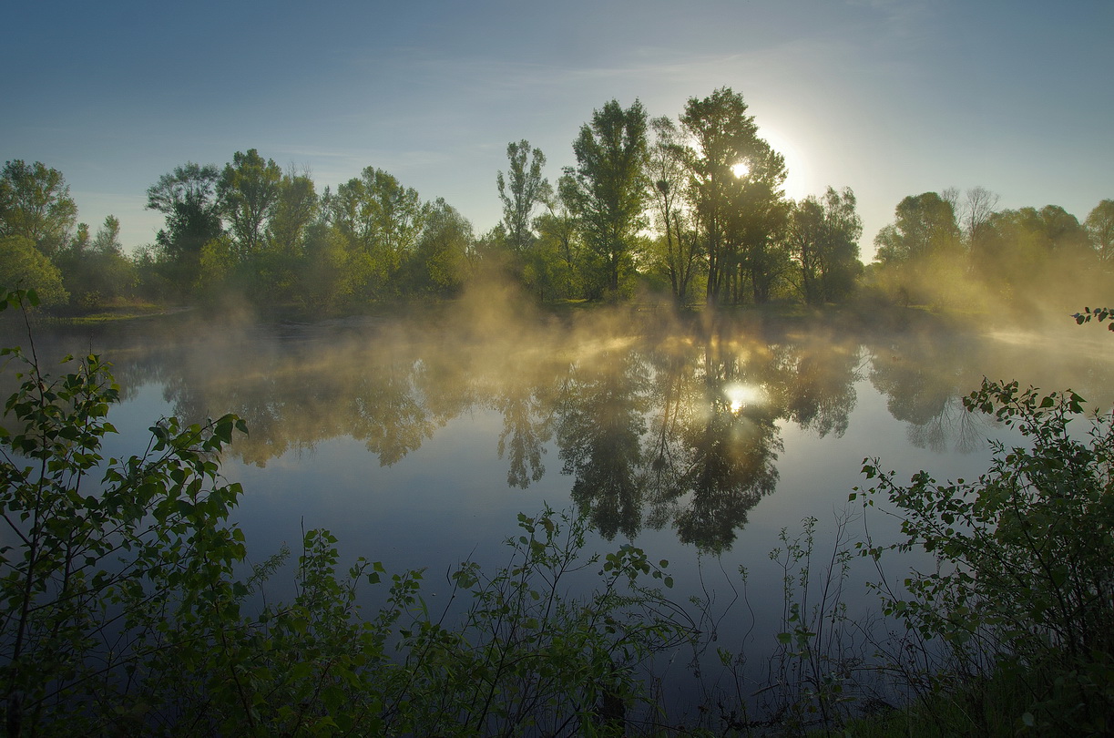 Фото майского утра