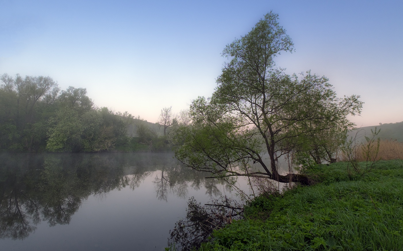 рыбинск река черемуха