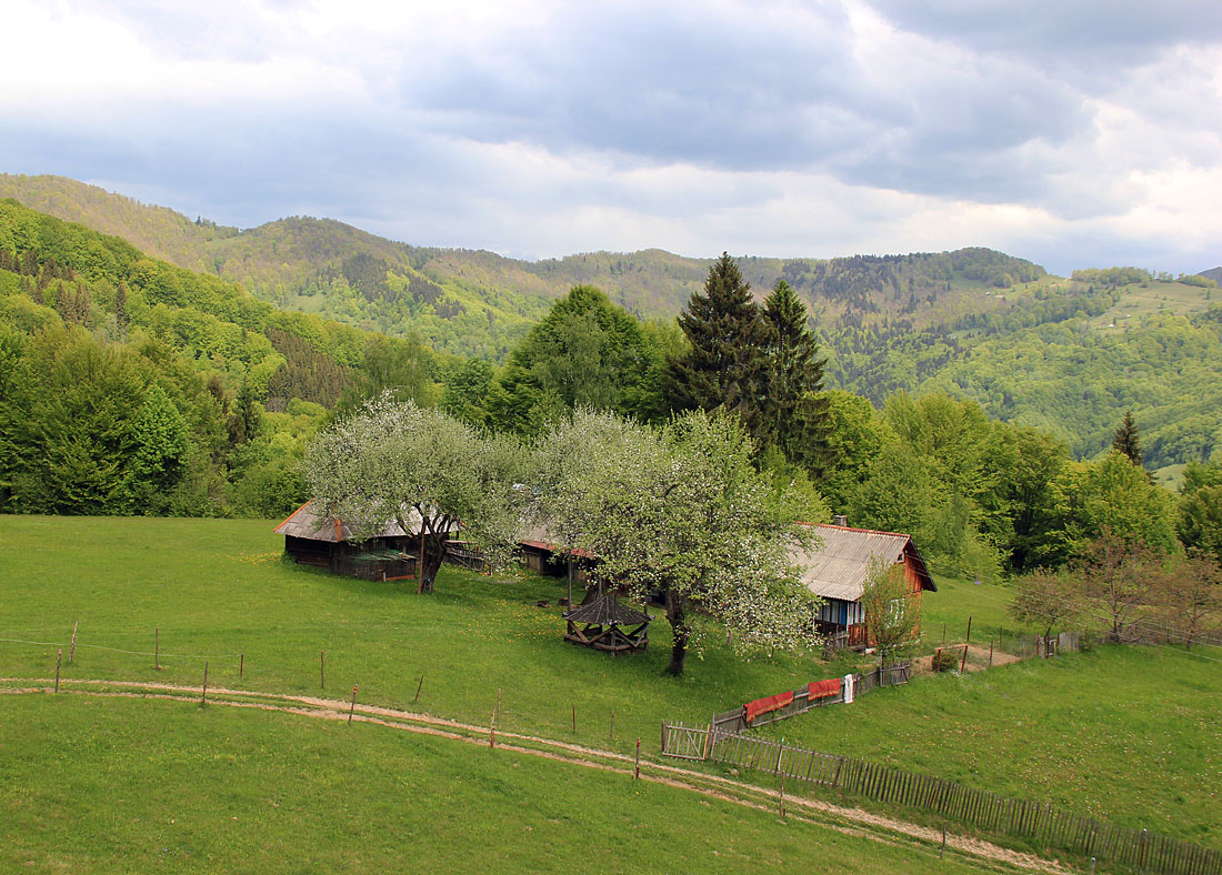 Закарпатье. Хутор в Закарпатье. Село Поляны. Закарпатье Фотогалерея.