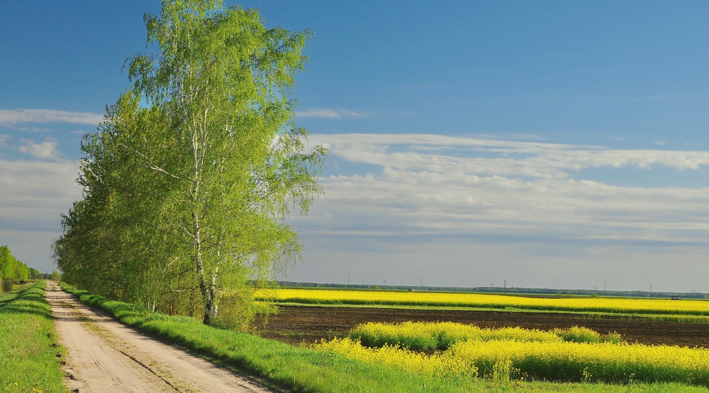 Май село. Весна в деревне май. Природа Весна май деревня. Май в деревне. Месяц май в деревне.