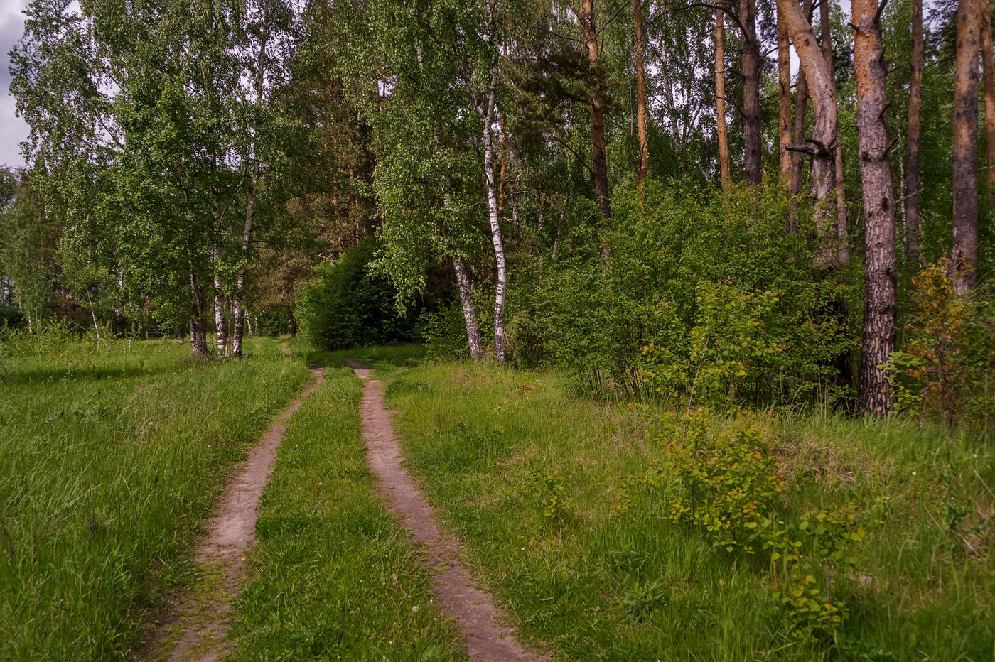 Фото начало июня