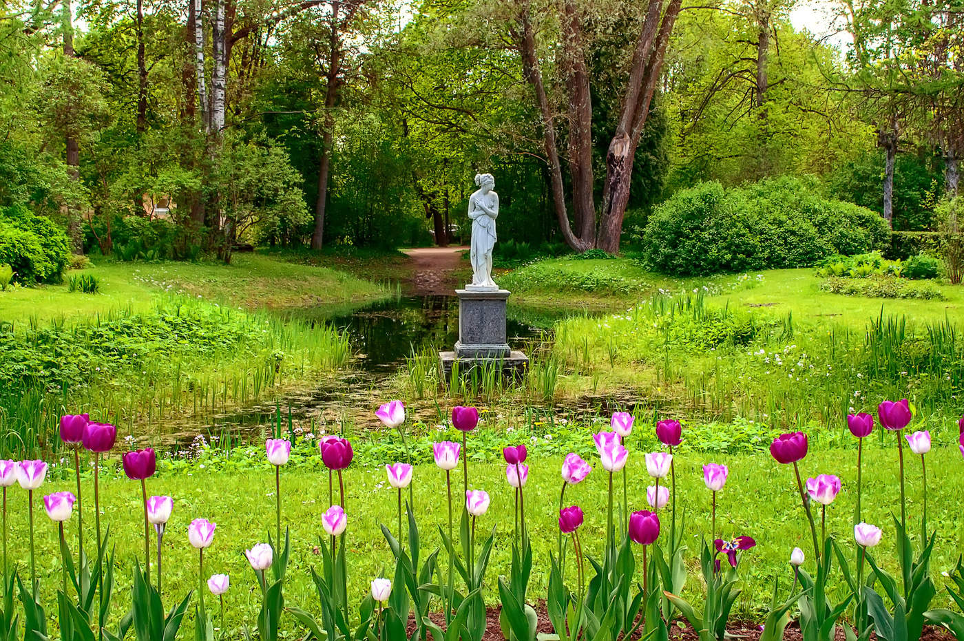 Весенние цветы в Павловском парке