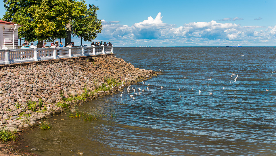 Петергоф финский залив фото