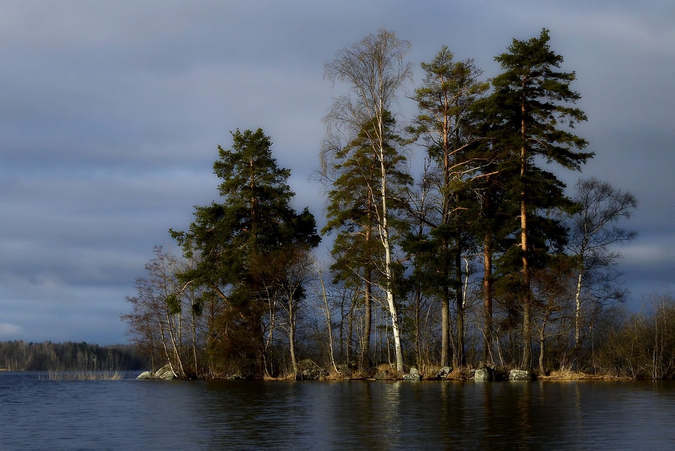 Карельский перешеек фото