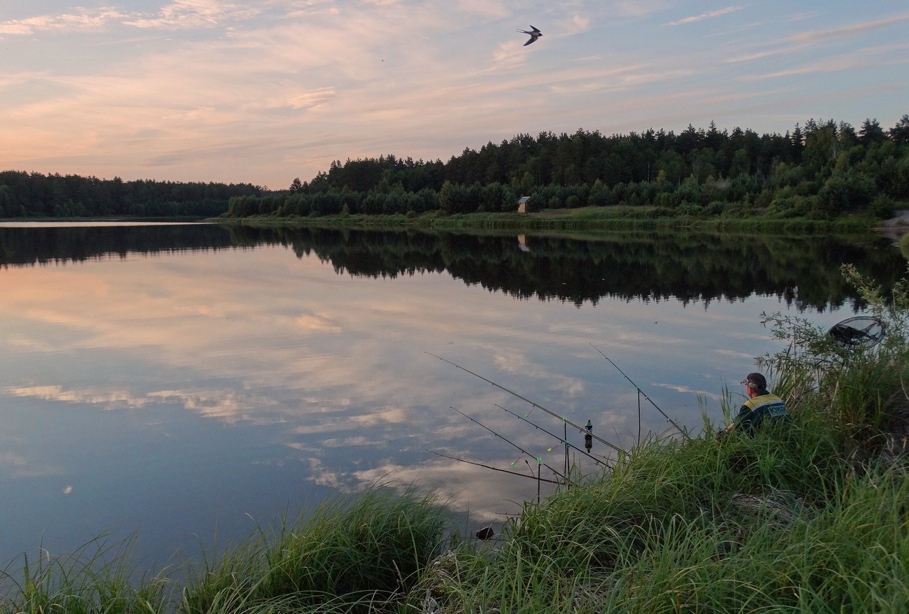 Озеро московское рыбалка. Пруд Бинвирь. Рыбалка на озере. Рыба в озере. Рыбалка летом.