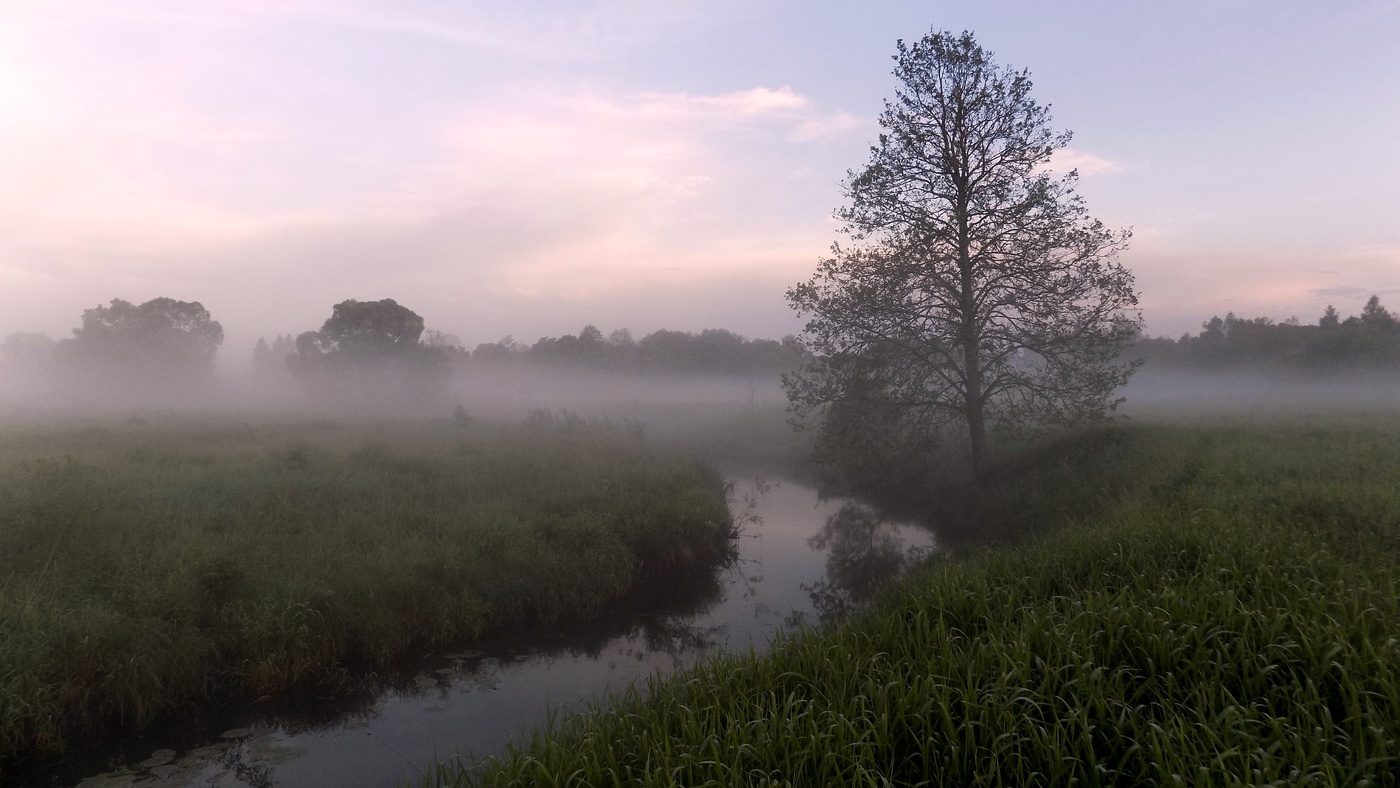 Там рекою туман песня. Река дымка Смоленская область. Туманное утро в деревне. Туман над рекой. Туман на реке.