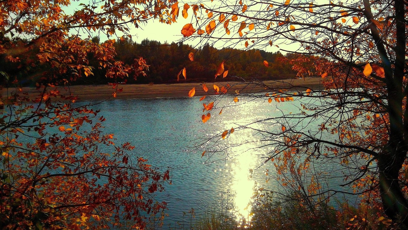 Осенний музыкальный пейзаж