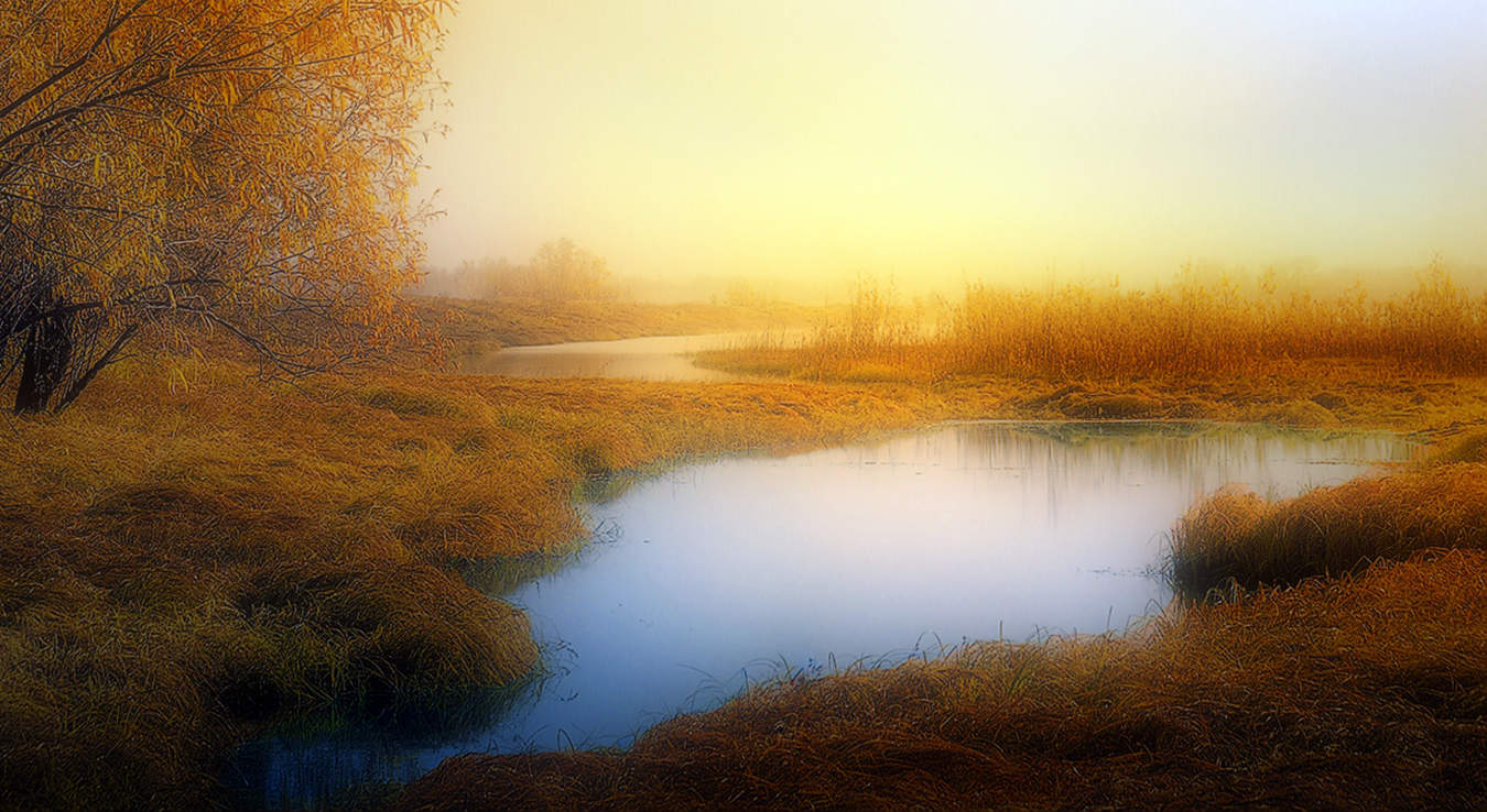 Золотая осень туман