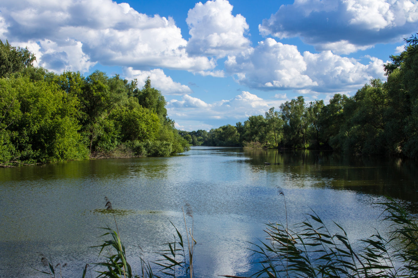 река усмань воронеж