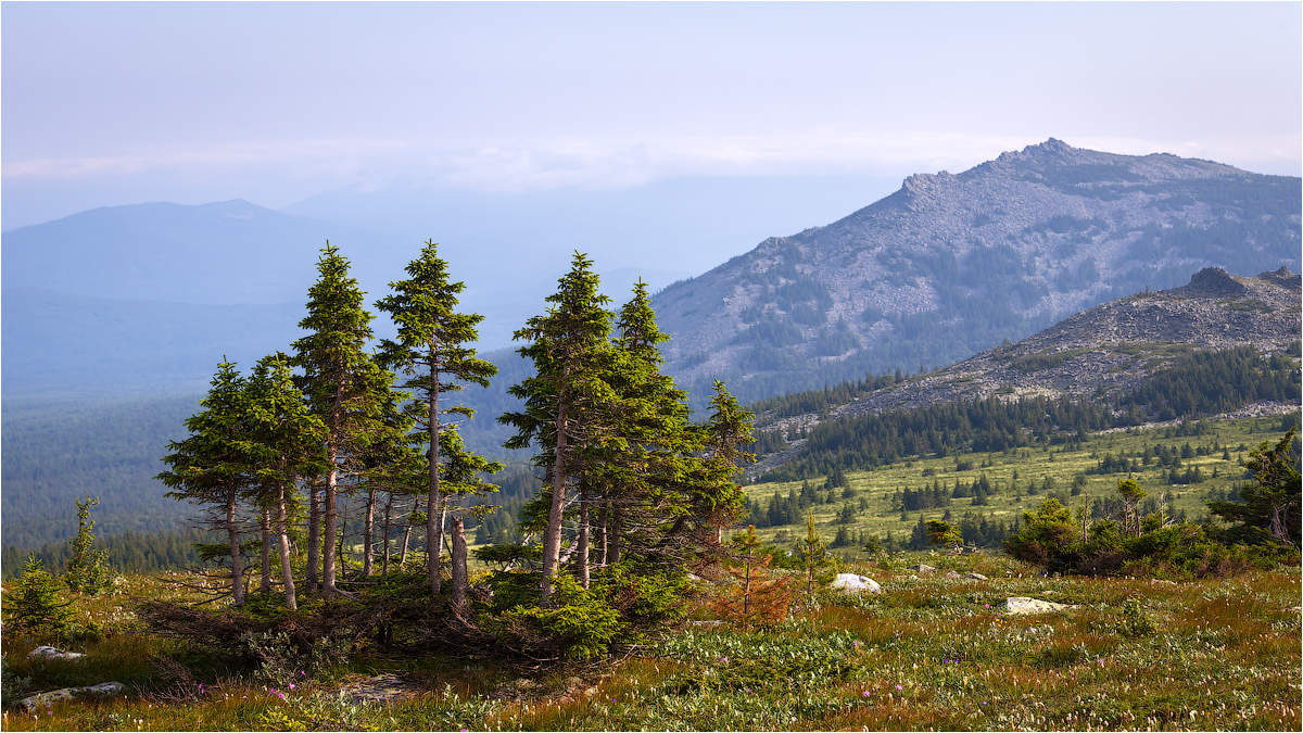 Картина гора Иремель