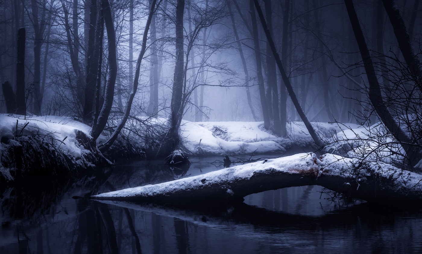 Мистический зимний лес