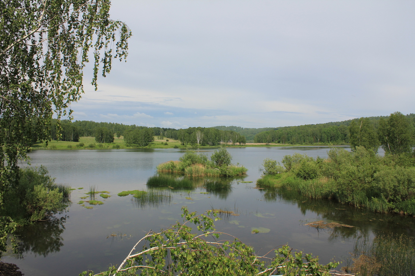 Маслянинский район Новосибирской природа