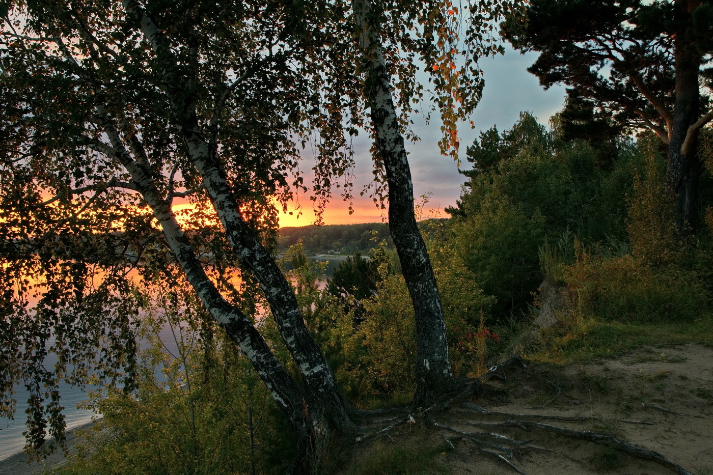 Рассвет томская область. Заря догорала. Вечерний сад. Заря фото. Заря фото природы.