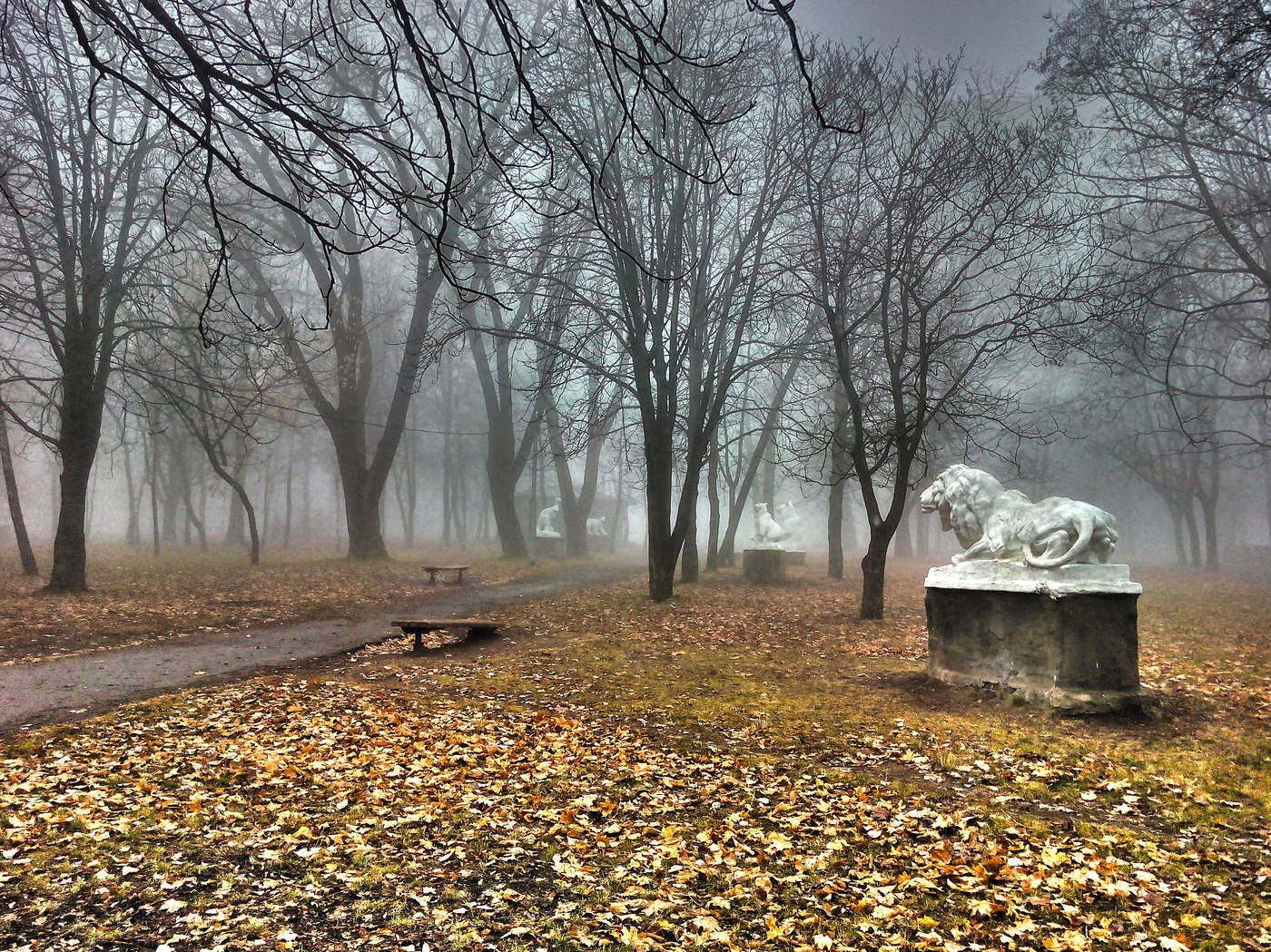 Парк пасмурно. Серая осень. Поздняя осень в парке. Старый осенний парк. Осенний туманный парк.