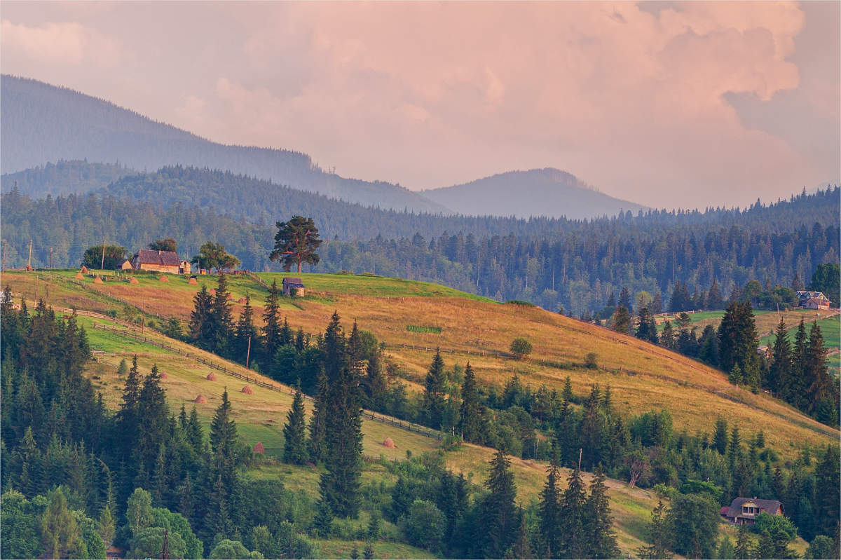 Карпаты Полонина