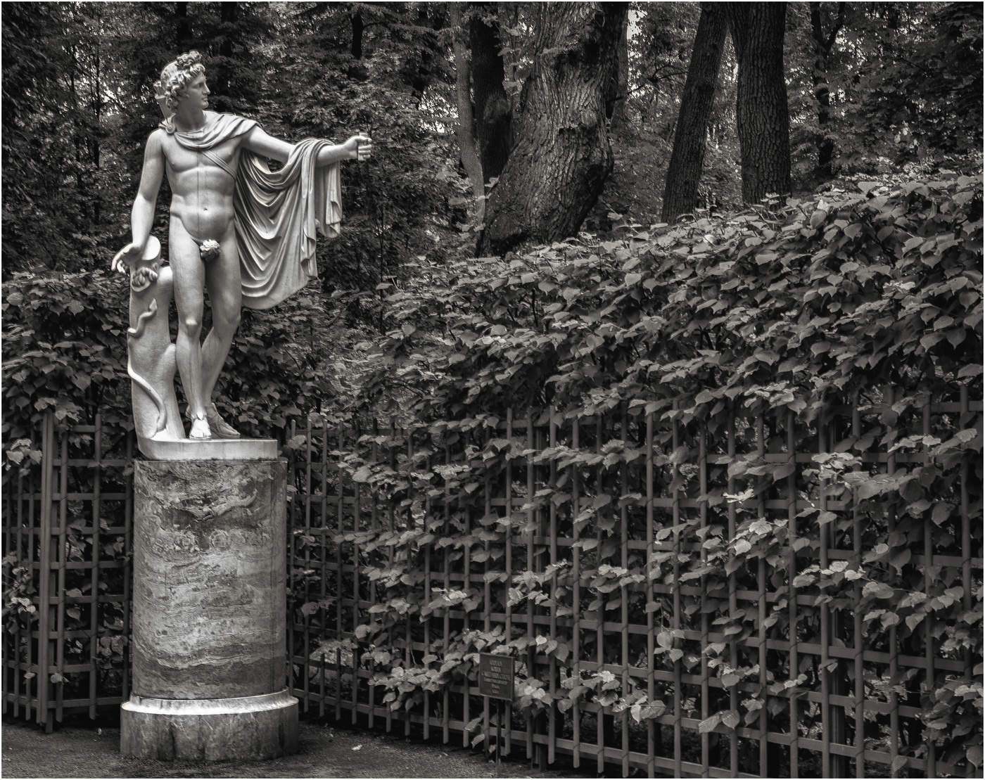 аполлон в летнем саду. скульптура аполлона в летнем саду. аполлон спб. аполлон скульптура спб. аполлон бельведерский летний сад.