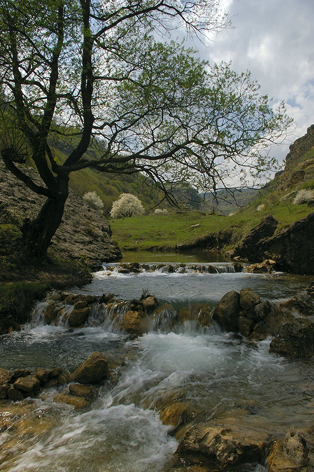 Реки кисловодска