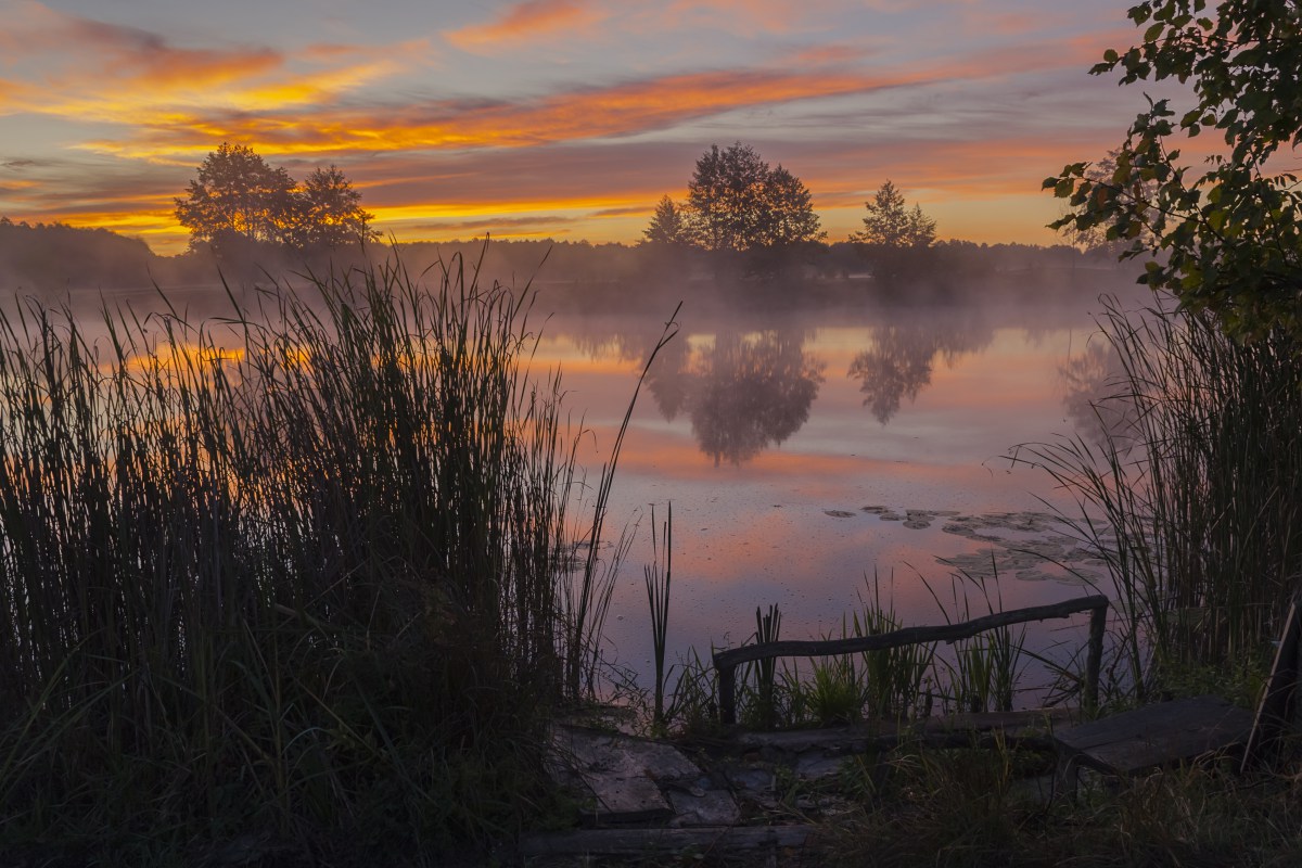 Утро на озере фото