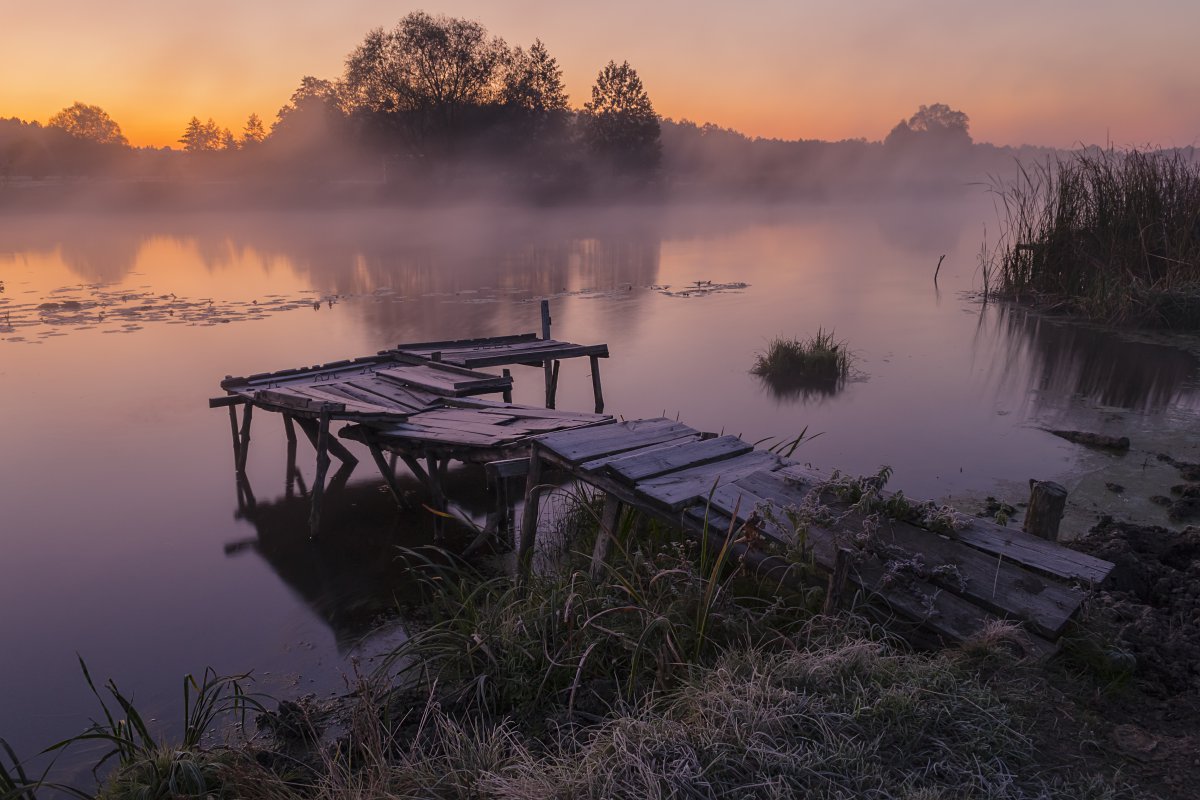 Утро на реке картинки